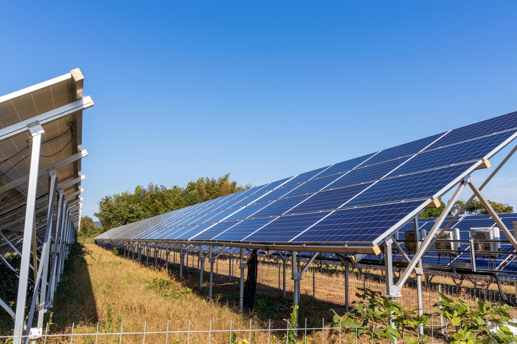 自己託送制度を利用するデメリットや注意点