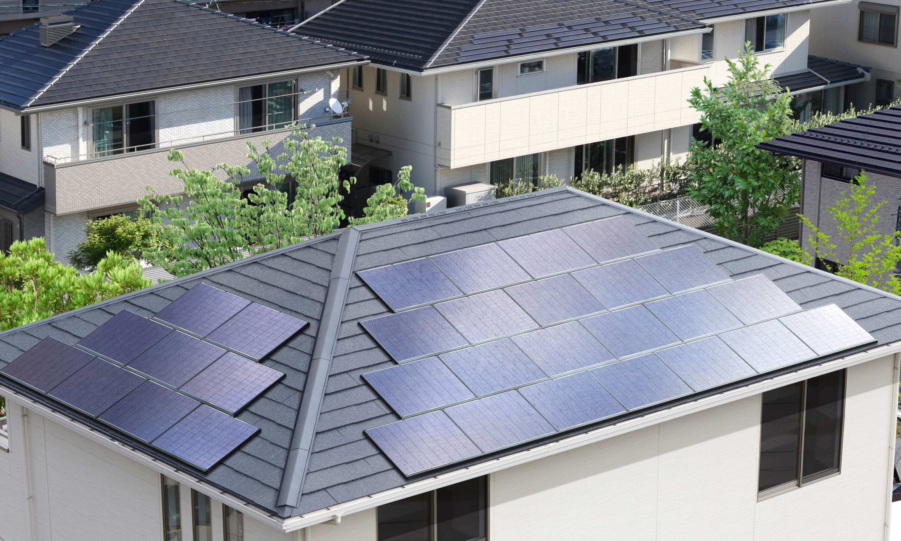 卒FIT後の主な選択肢