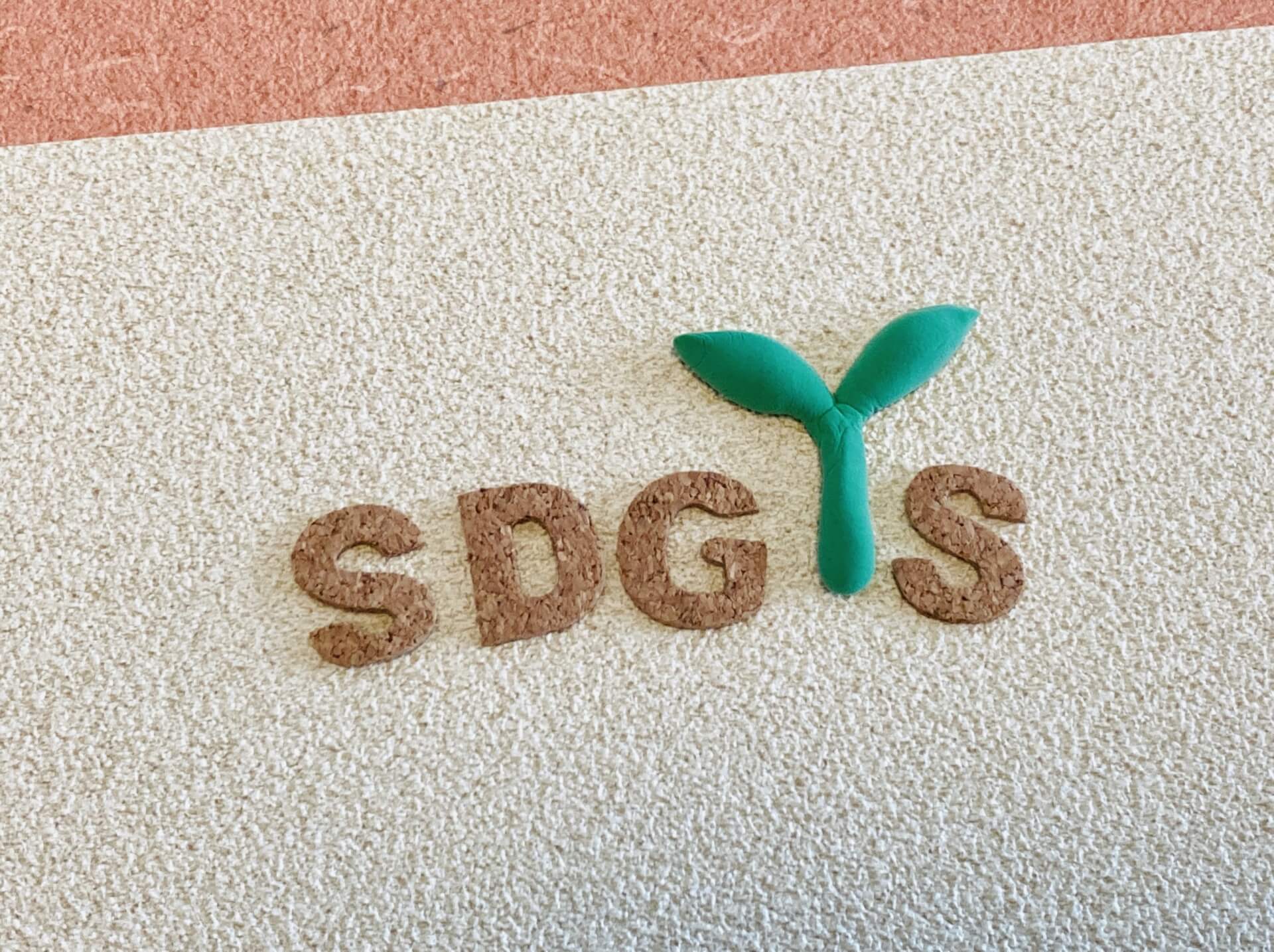 SDGs