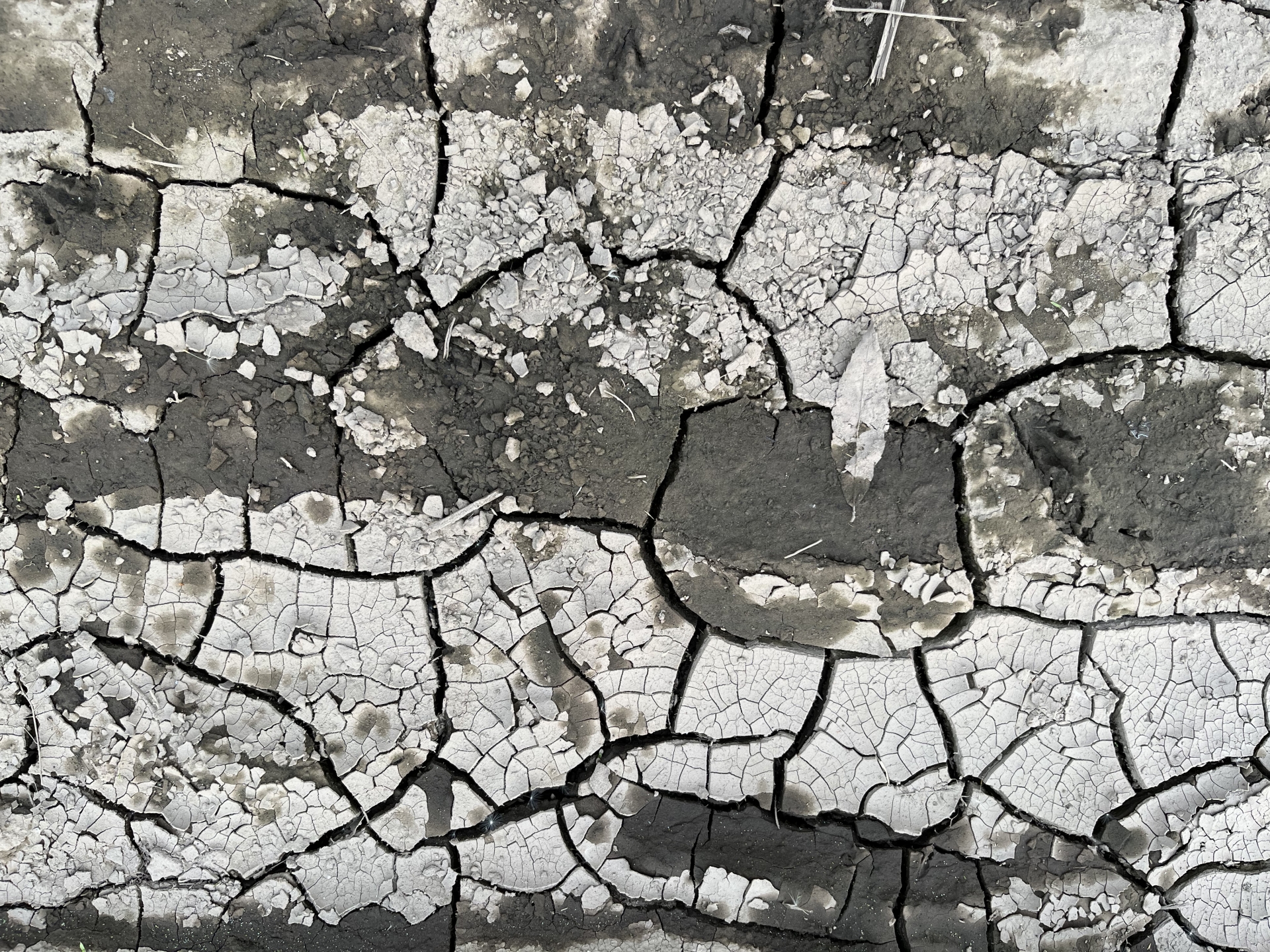 BCP・BCMと防災活動との関係