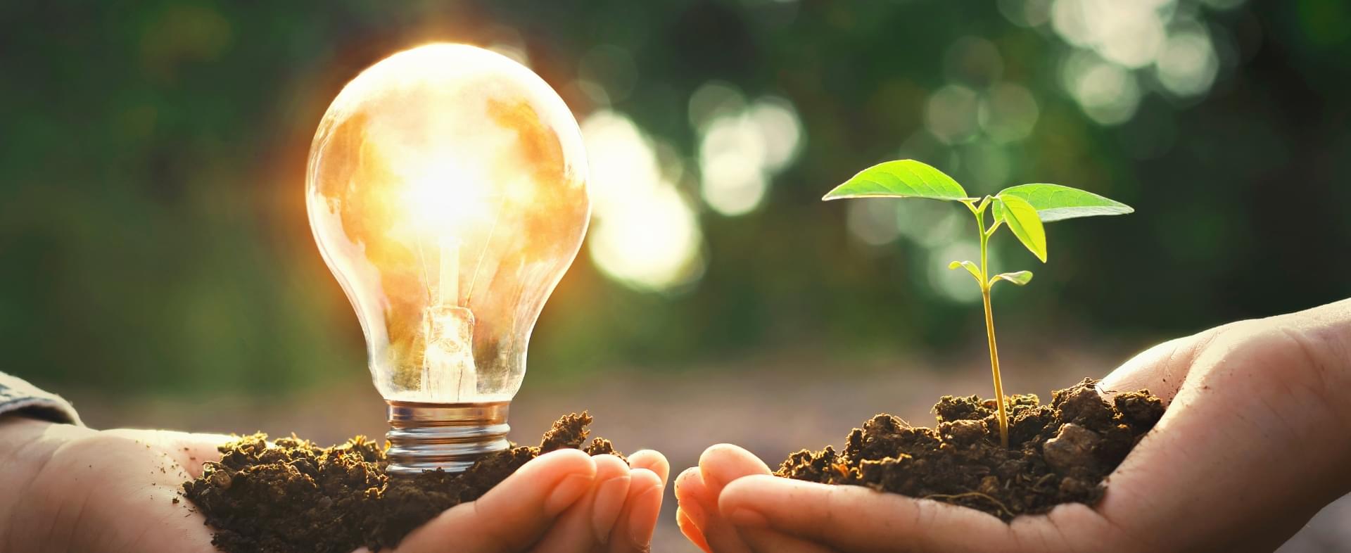 サステナビリティ