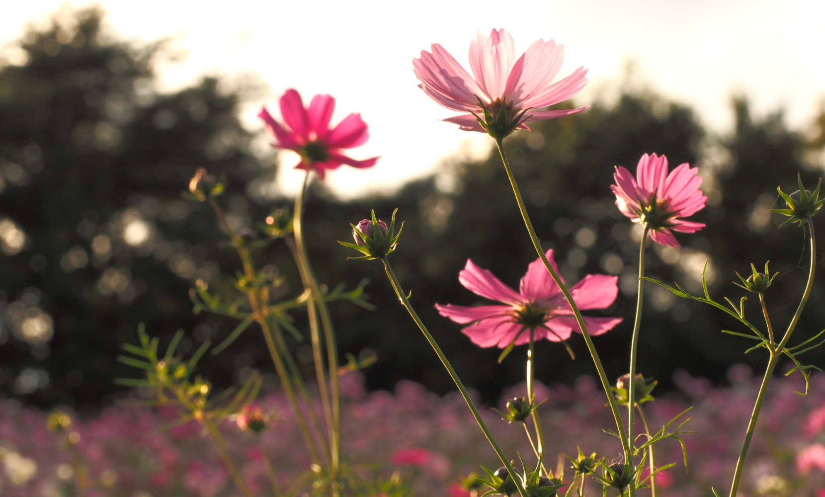 人権の尊重および調達方針