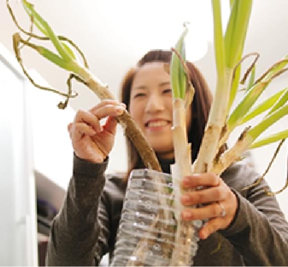 ミニガーデニングに夢中のこのごろ・・・。次は家庭菜園に挑戦です。2